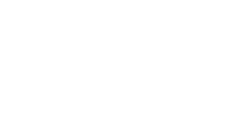 TZEW ARTIE Logo 500x258